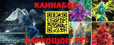 трава Будённовск
