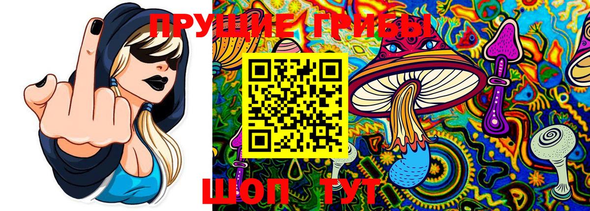 Псилоцибиновые грибы прущие грибы Луховицы